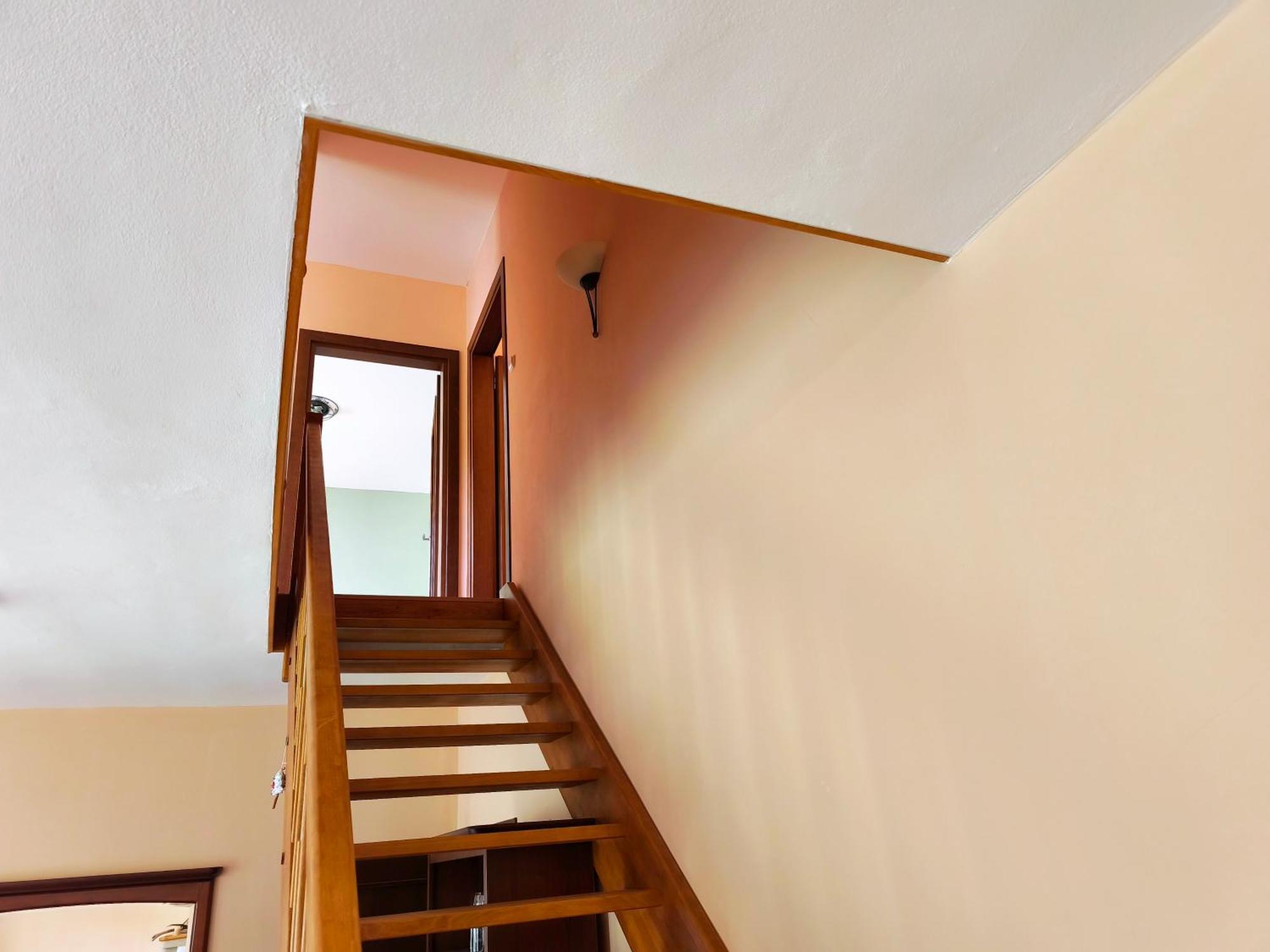 Tatra Olla -